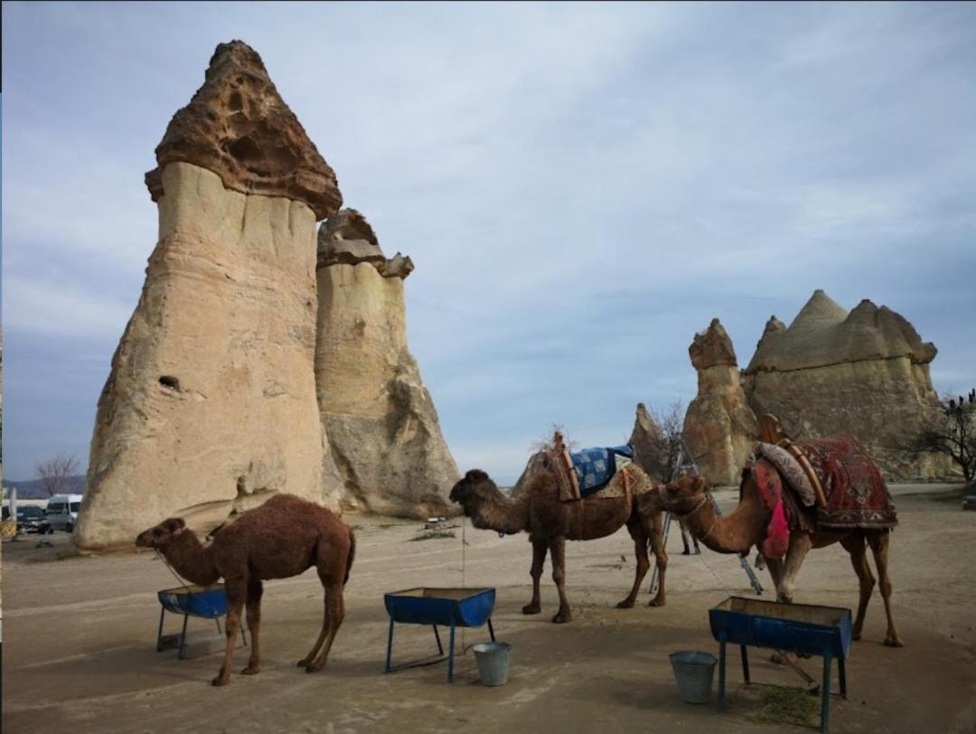 Sandik Cave Suites Nevşehir Exterior photo